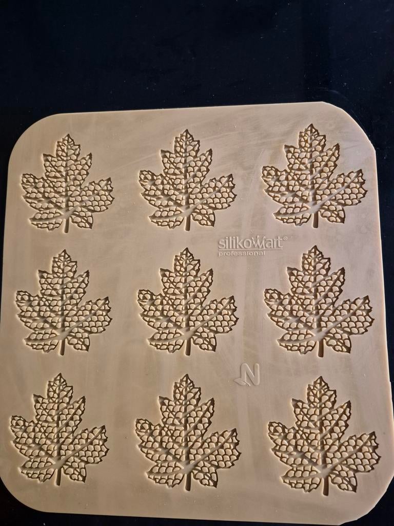 Siliconen bakvorm bladeren - Silikomart Professional, Ophalen of Verzenden, Zo goed als nieuw, Taarten of Cupcakes, Bakvorm