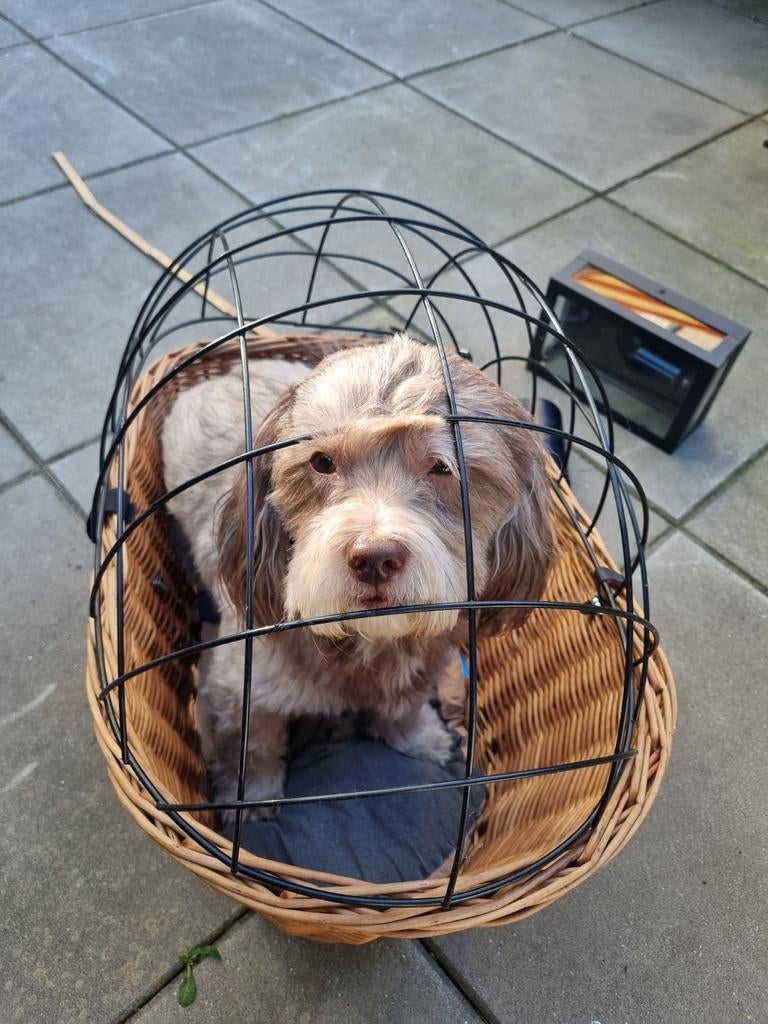 Honden fietsmand, Ophalen of Verzenden