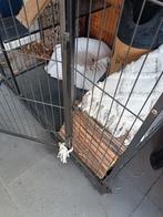 Buitenverblijf, Dieren en Toebehoren, Katten-accessoires, Ophalen, Nieuw