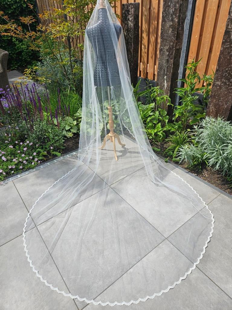 300 cm
Ivory twv 299 euro sluier nieuw cecile calanthe, Ophalen of Verzenden, Zo goed als nieuw, Zwart, Accessoires