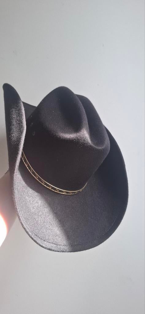 cowboyhoed zwart met gouden band, Ophalen of Verzenden, Zo goed als nieuw, One size fits all, Hoed