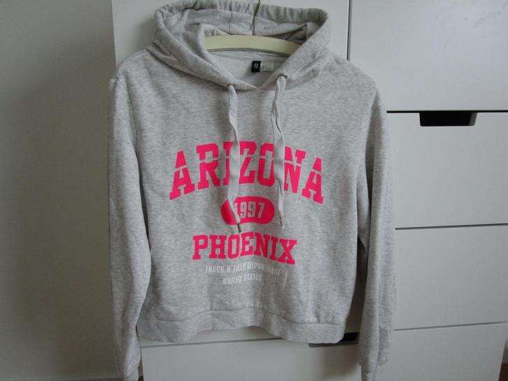 H&M - Hoodie Arizona maat S, Kleding | Dames, Truien en Vesten, Zo goed als nieuw, Maat 36 (S), Grijs, Ophalen of Verzenden