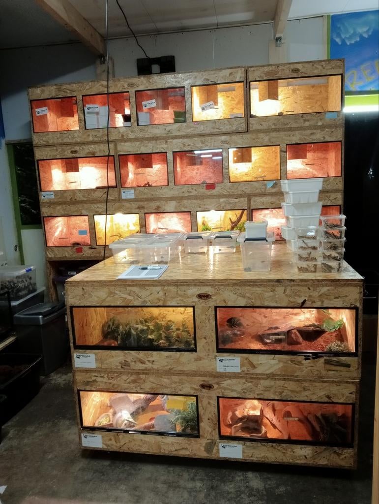 Osb3 terrarium RepHouSZ. Ook maatwerk, Ophalen, Terrarium of Paludarium