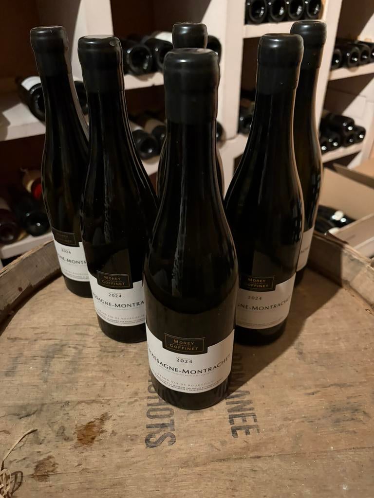 Chassagne Montrachet (rood) 1e Cru 'Morgeot' 2024 Coffinet, Ophalen, Frankrijk, Nieuw, Rode wijn