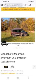 Zonneluifel  maunitius, Ophalen of Verzenden