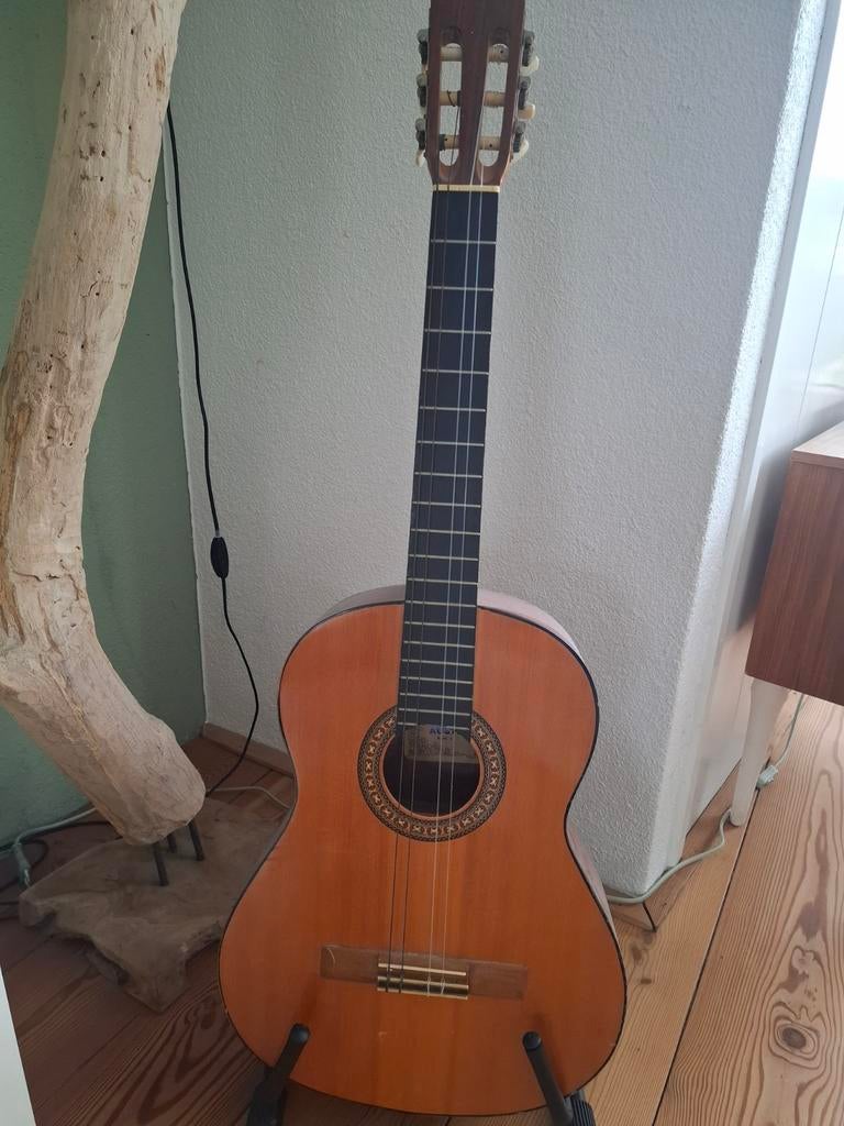 Gitaar Austin, Muziek en Instrumenten, Ophalen, Klassieke of Spaanse gitaar