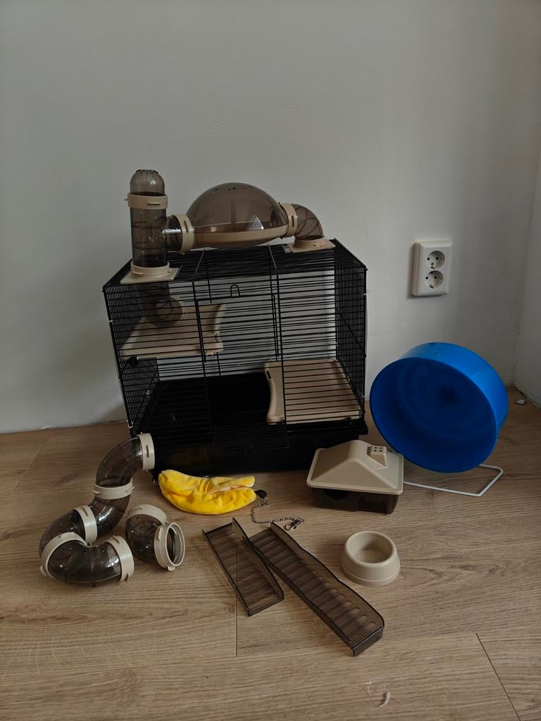 Hamsterkooi (voor dwerghamster), Dieren en Toebehoren, Kooi, Minder dan 75 cm, Rat, Ophalen