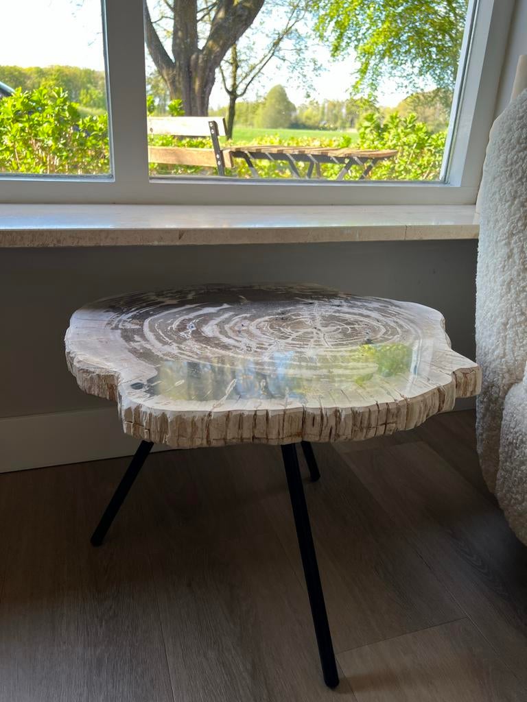 Salontafel versteend hout - metalen poten - NIEUW!, Huis en Inrichting, Tafels | Salontafels, Ophalen, Rond, Nieuw, 50 tot 100 cm