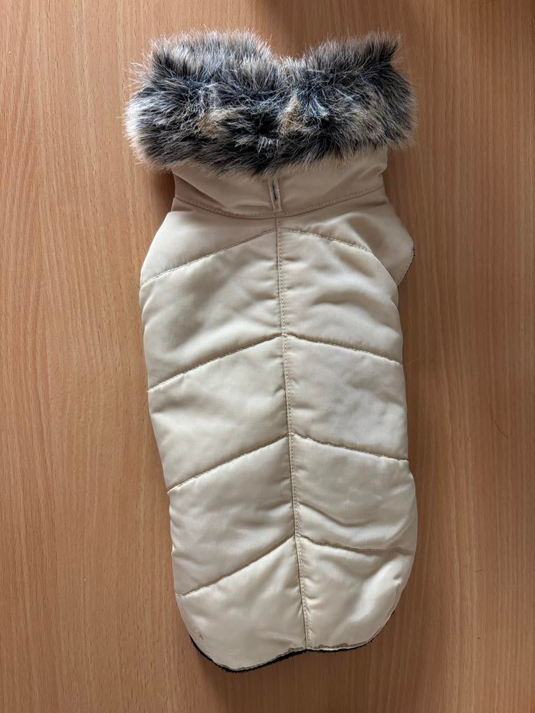 Honden jasje voor chihuahua, Ophalen of Verzenden, Zo goed als nieuw, Hondenjas