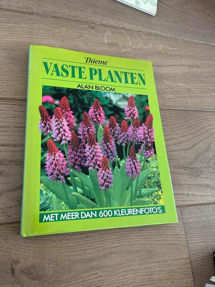 Thieme Vaste Planten - Alan Bloom (Tuinboek), Boeken, Wonen en Tuinieren, Gelezen, Tuinieren en Tuinplanten, Ophalen of Verzenden