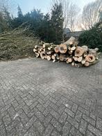Essen hout op stam  ruim 10-15 kuub !!, Minder dan 3 m³, Ophalen