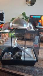 Hanster kooi, Dieren en Toebehoren, Ophalen, Minder dan 75 cm, Kooi, Minder dan 60 cm