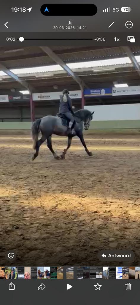 Zadelmak maken/doorrijden, Dieren en Toebehoren, Paarden en Pony's | Verzorgingsproducten, Zo goed als nieuw, Verzenden