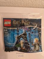 Lego Harry Potter 30677 NIEUW
Polybag, Ophalen of Verzenden, Nieuw