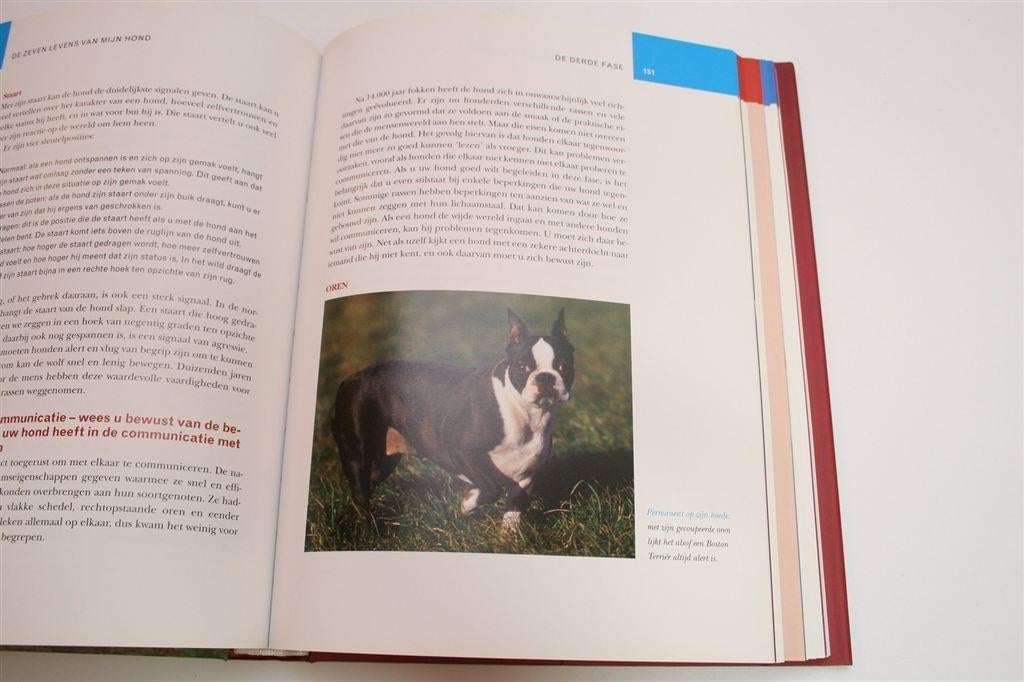 De 7 Levens van mijn Hond — Levensfasen & Verzorging, Ophalen of Verzenden, Zo goed als nieuw, Honden