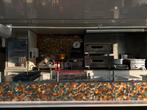 Foodtruck/verkooptrailer Pizza/Pasta, Ophalen