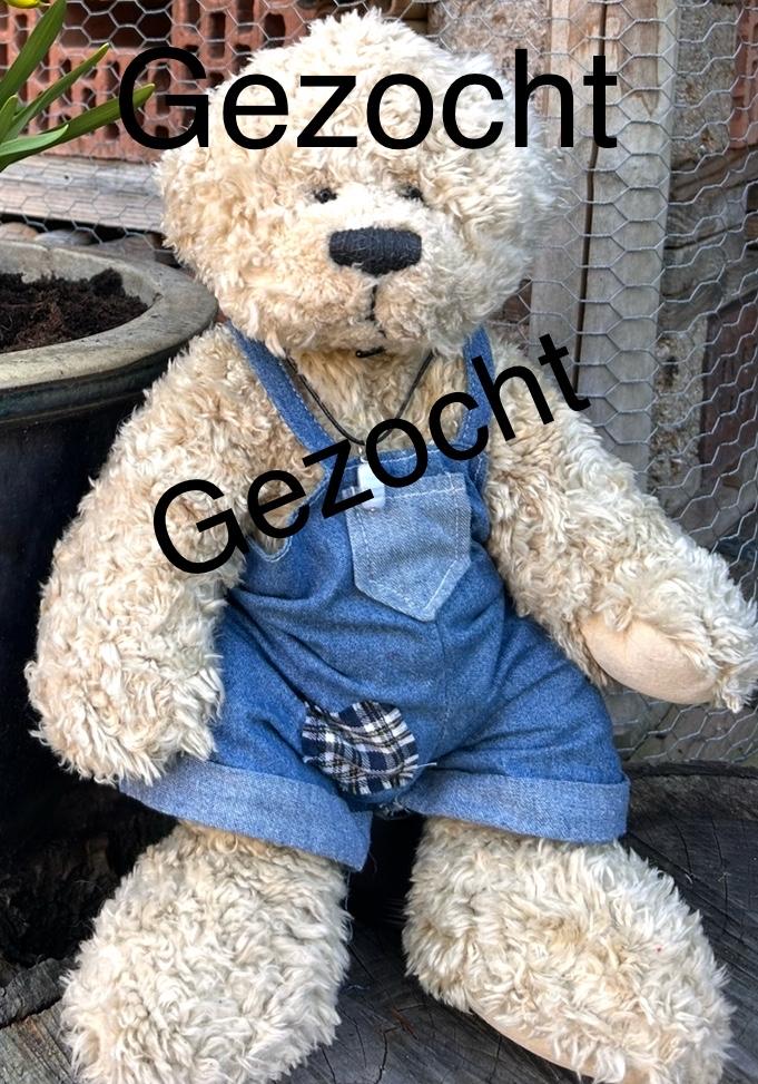 Gezocht deze beer, Beer, Ophalen of Verzenden, Zo goed als nieuw, Middelgroot (20 tot 80 cm)