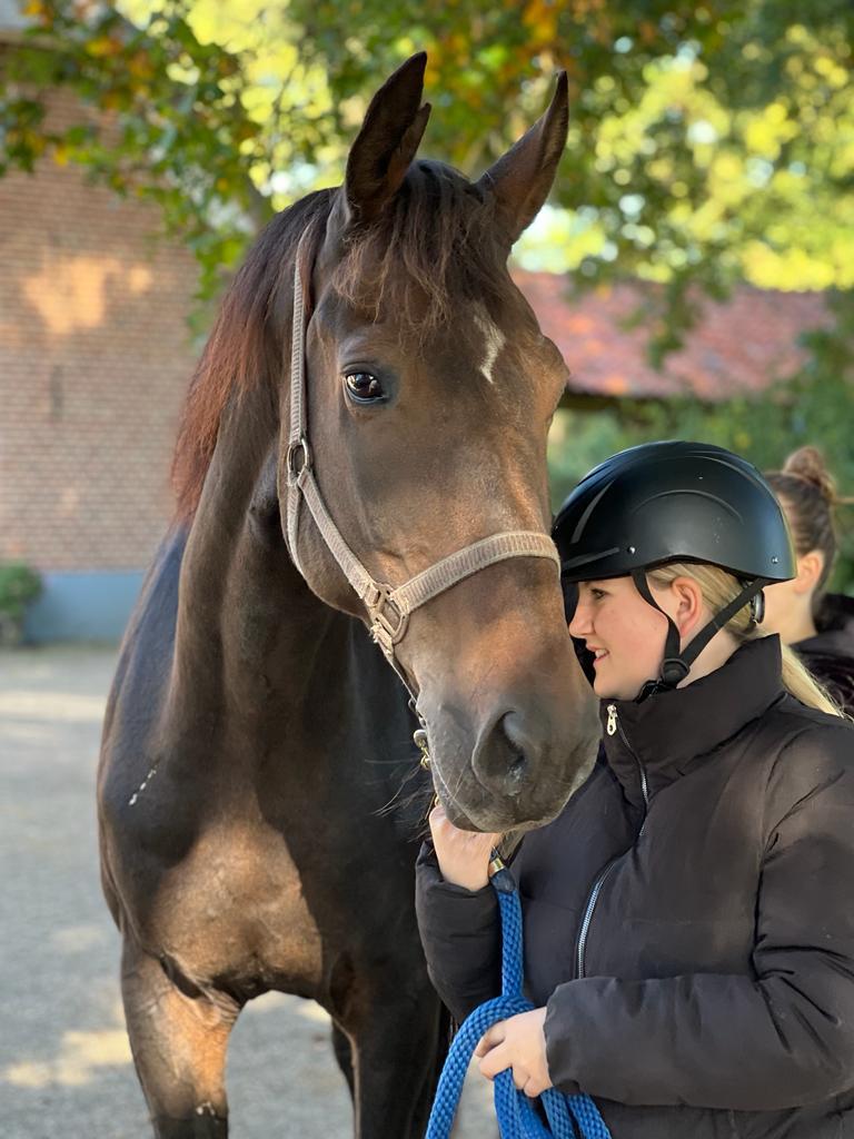 Aangeboden: Ervaren bijrijder / verzorger / leaser (17), Dieren en Toebehoren, Paarden en Pony's | Verzorgingsproducten, Ophalen