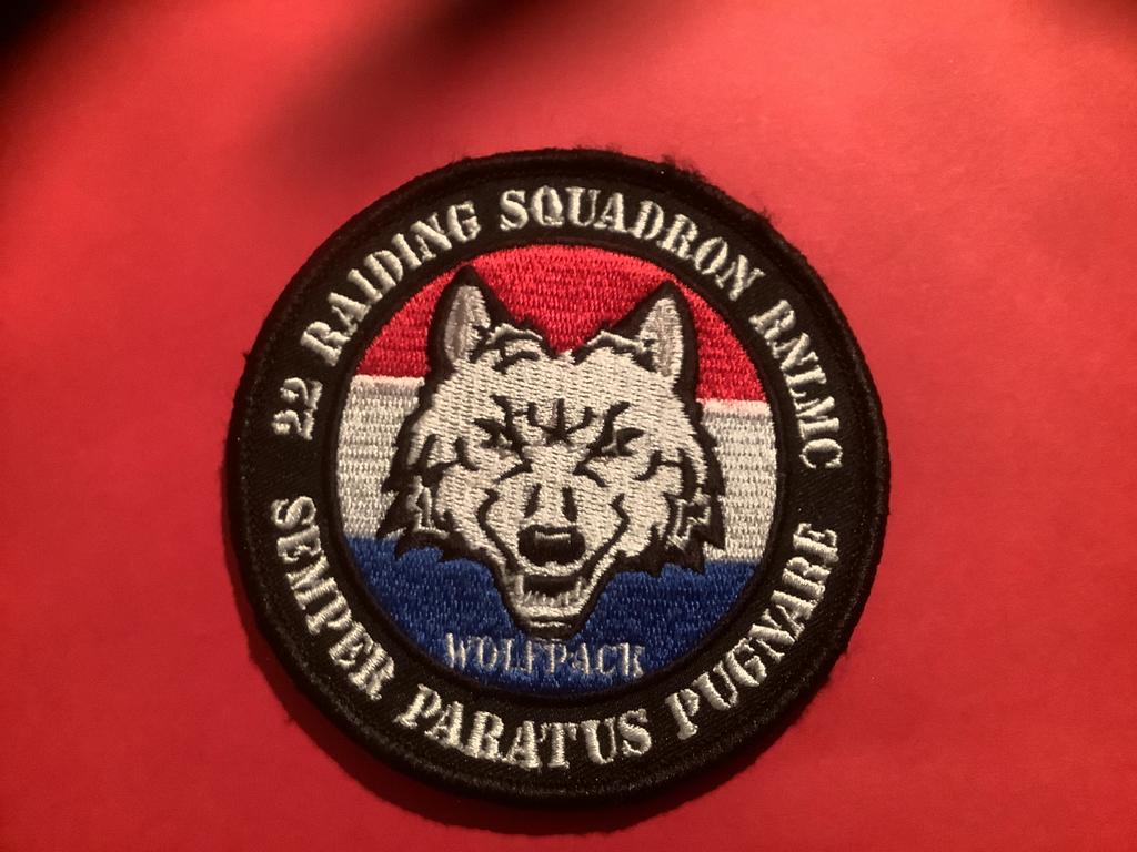Badge van Squadron  22 met velcro, Verzamelen, Ophalen of Verzenden, Luchtmacht, Nederland, Embleem of Badge