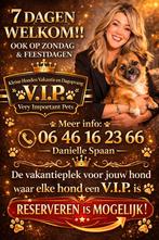 Vakantie en dagopvang voor kleine hondjes