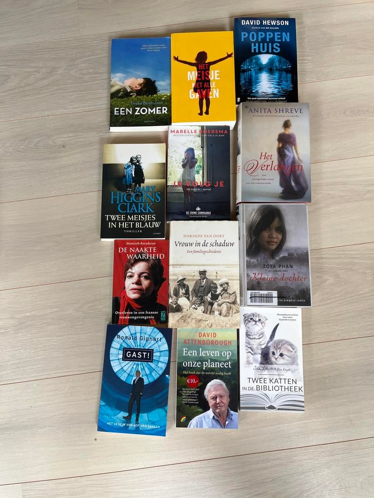 Diverse boeken: romans, thrillers en non-fictie, Boeken, Ophalen of Verzenden, Gelezen, Nederland