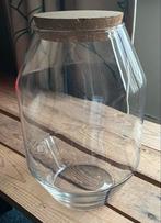 Glazen pot/terrarium, Ophalen, Gebruikt