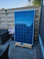 7 Nieuwe Axitec Zonnepaneel AC-260P/156-60S - 260 Wp, Ophalen, Nieuw, Paneel, 200 wattpiek of meer