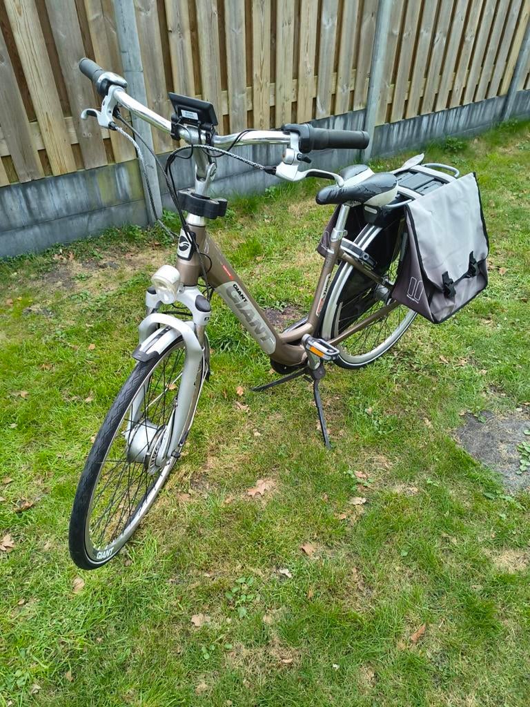 Giant Twist Go Double Power elektrische fiets, Fietsen en Brommers, Elektrische fietsen, Ophalen, Gebruikt, Overige merken