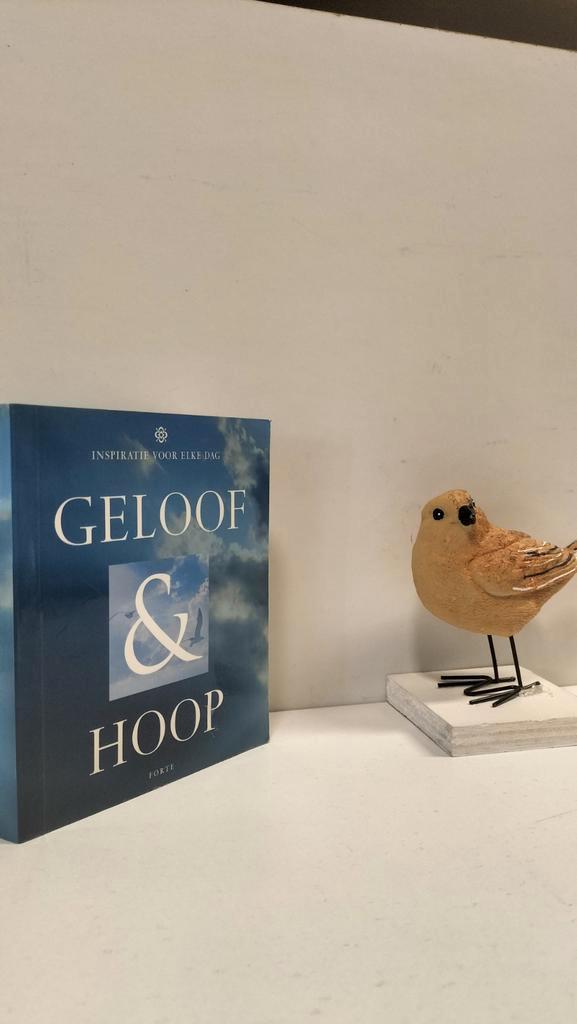 Benthum, Annemarie van ; Geloof & Hoop (inspiratie voor elke, Boeken, Godsdienst en Theologie, Gelezen, Christendom | Protestants