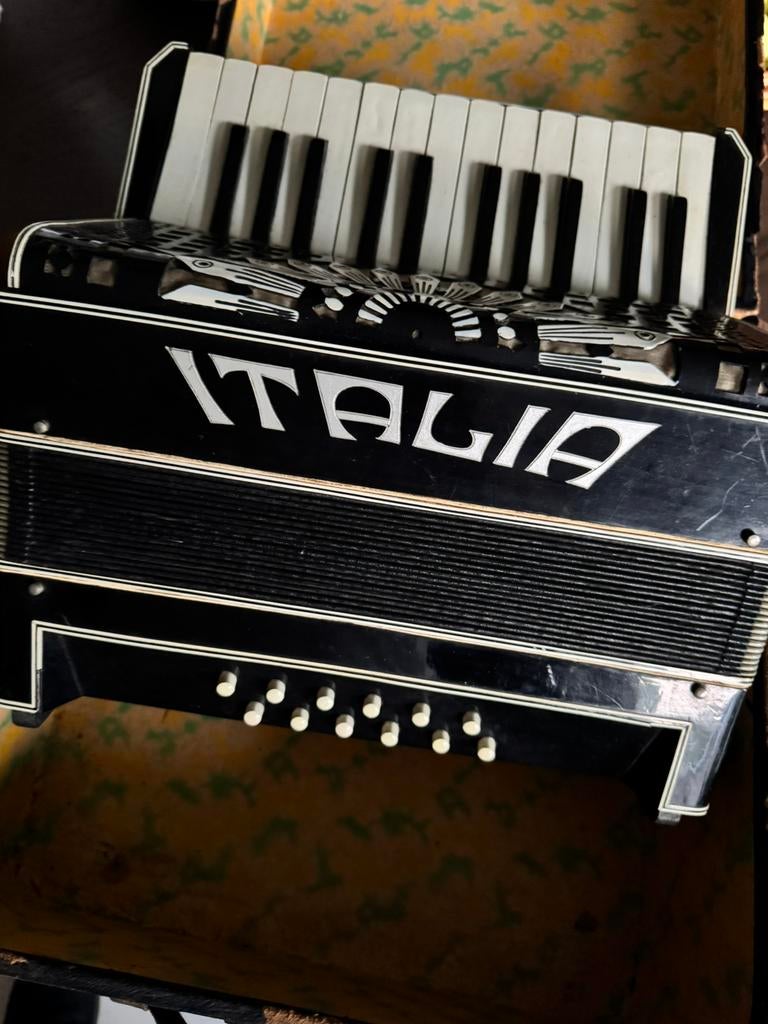 Italia accordeon in perfecte staat incl koffer, Ophalen of Verzenden, Zo goed als nieuw, Overige merken