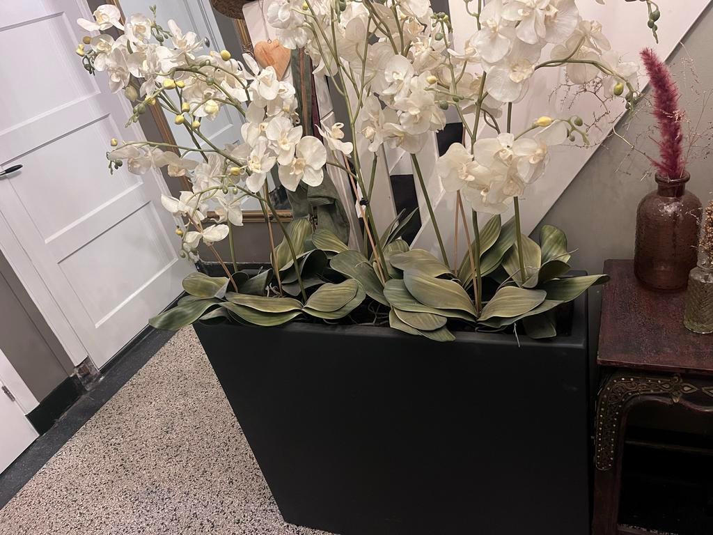 Grote zwarte bloembakken met orchideeën, Ophalen, Kunststof, Gebruikt, Binnen