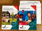 Pedagogisch Werk boeken - Angerenstein Welzijn, Boeken, Studieboeken en Cursussen, Ophalen of Verzenden, Gamma, Gelezen, MBO