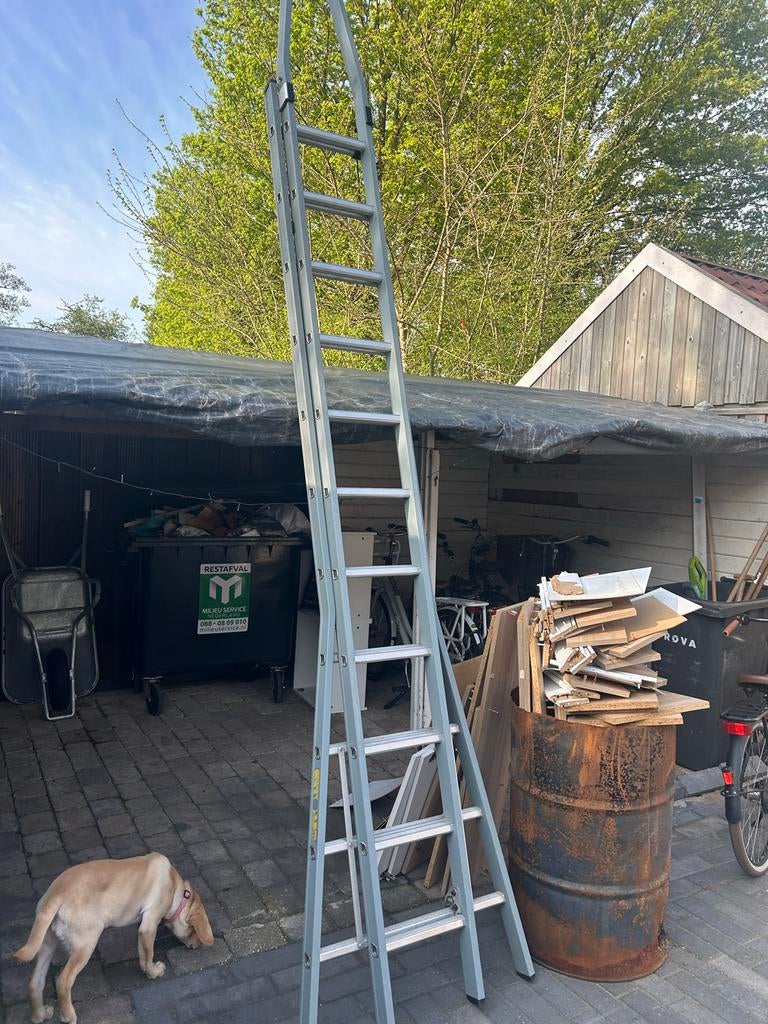 Dirks puntladder 2x11, professionele glazenwassers ladder, Ophalen, Gebruikt, Dirks, 7609ah