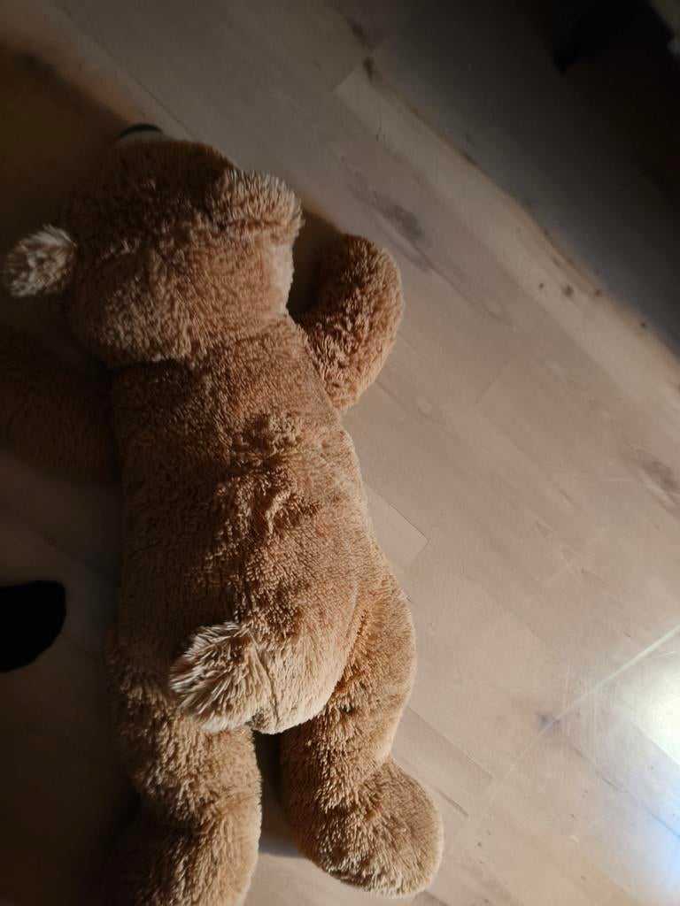 Mooie kermis beer, Ophalen