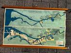 Havengebied Rotterdam (1940 en 1965), Antiek en Kunst, Antiek | Schoolplaten, Ophalen of Verzenden, Aardrijkskunde