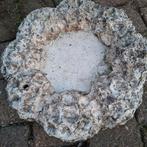 Waterbak / voerbak voor tuin of balkon, Ophalen, Gebruikt, Beton, Overige typen