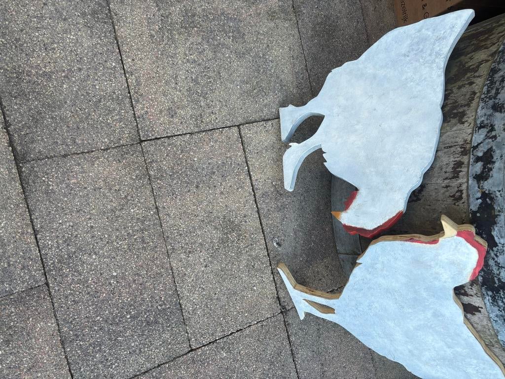 2 kippen uit gezaagd, Vrouwelijk, Kip