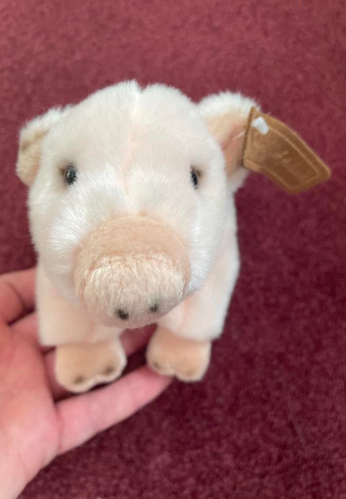 Varkentje van Anna Club Plush., Verzenden, Overige typen, Nieuw, Middelgroot (20 tot 80 cm)