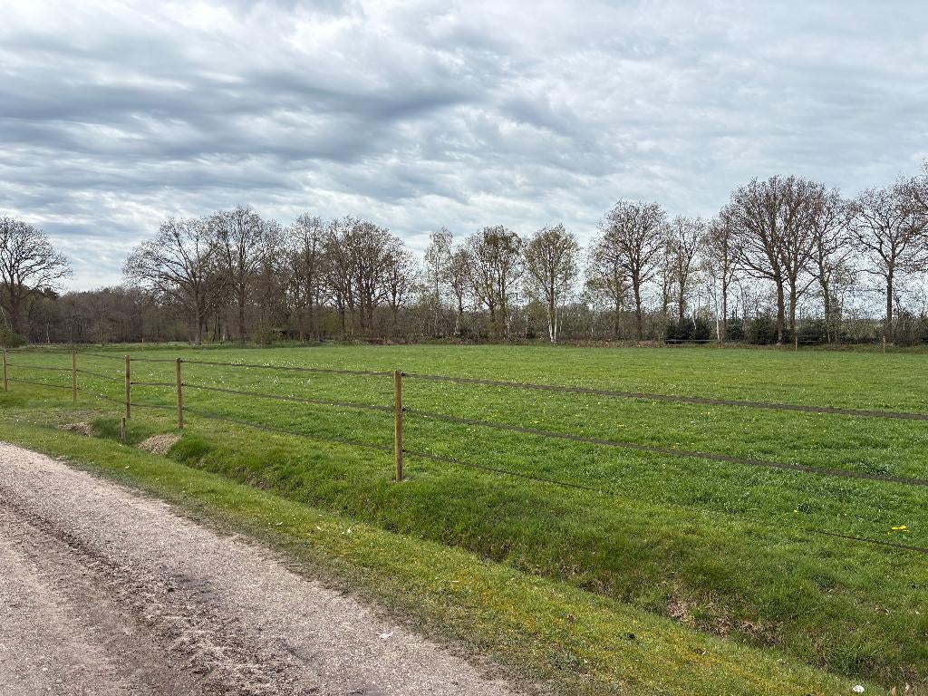 Paardenstalling + weidegang friesland groningen drenthe, Weidegang, 2 of 3 paarden of pony's