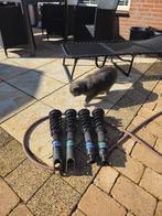 D2 Schroefset Street (RS) Civic 96-01 | ZGAN, Auto-onderdelen, Ophalen, Nieuw, Honda