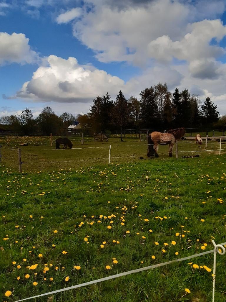 Kleinschalige plek met track vrij in Emst