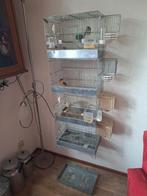 Broedkooi voor vogels zonder vogels, Dieren en Toebehoren, Ophalen, Hout, Broedkooi of Kweekkooi