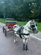 4 wieler wagentje voor pony, Ophalen, Zo goed als nieuw