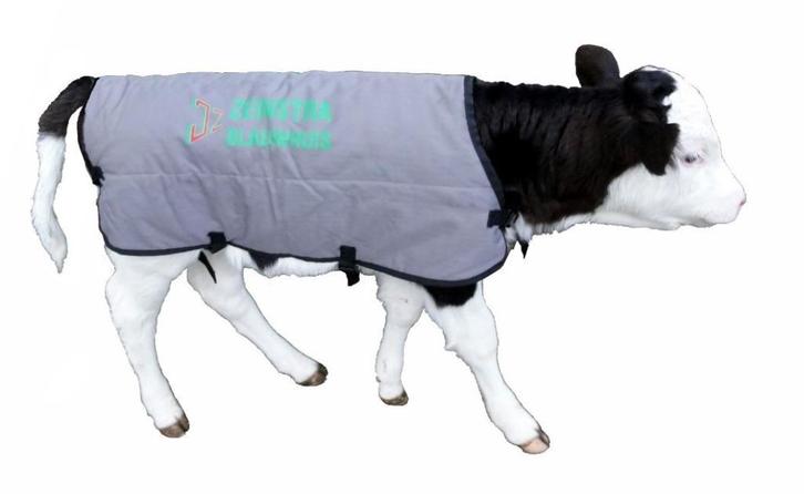 Kalverdek kalverbodywarmer kalveren dekjes kalverdekje, Dieren en Toebehoren, Overige Dieren-accessoires, Nieuw, Ophalen of Verzenden