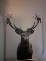 Herten doek, Ophalen, Zo goed als nieuw