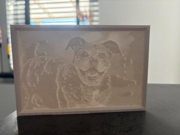 Lithografie lamp 3D foto print beschikbaar voor biedingen