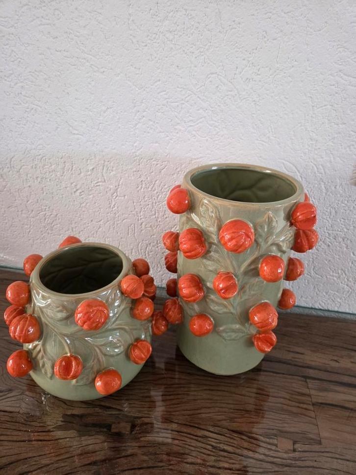 2 Daan krom vazen NIEUW, Huis en Inrichting, Woonaccessoires | Vazen, Ophalen of Verzenden