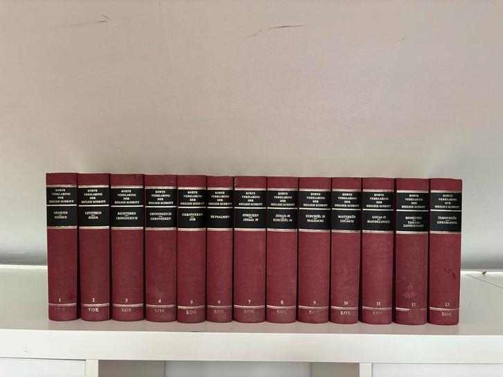 Korte Verklaring der Heilige Schrift, Boeken, Godsdienst en Theologie, Gelezen, Christendom | Protestants, Ophalen of Verzenden