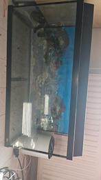Aquarium 80x30, Dieren en Toebehoren, Vissen | Aquaria en Toebehoren, Ophalen of Verzenden, Gebruikt, Verlichting of Verwarming