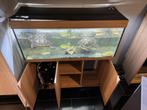 Juwel aquarium Rio 240 LED 121x41x50 cm, Dieren en Toebehoren, Vissen | Aquaria en Toebehoren, Ophalen, Leeg aquarium